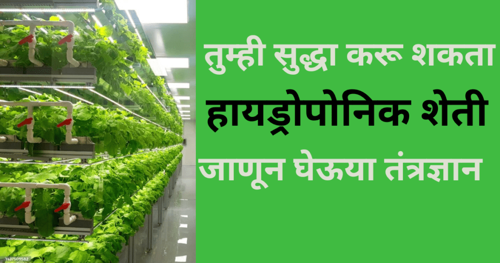 What is Hydroponic Farming? | हायड्रोपोनिक शेती तंत्रज्ञान संपूर्ण माहिती 2024