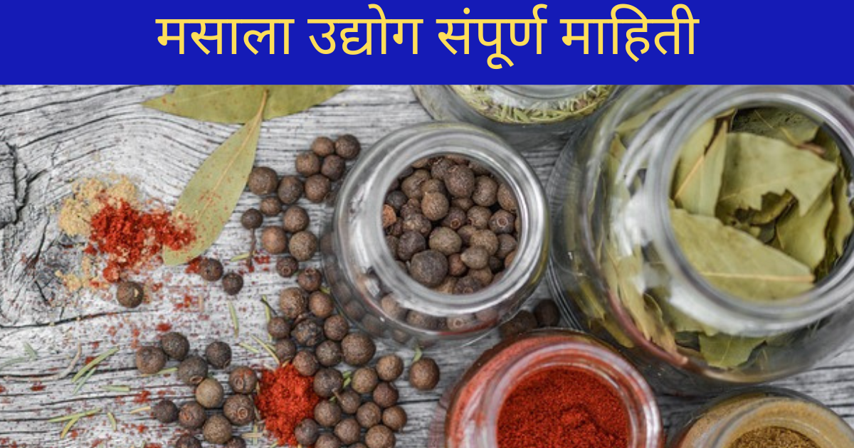  मसाला उद्योग | Masala Business Information in Marathi